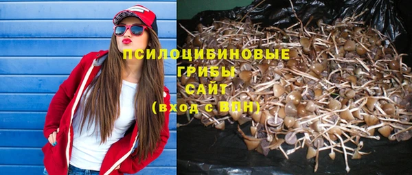 винт Володарск