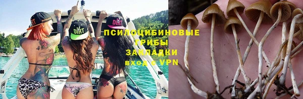 дживик Волосово