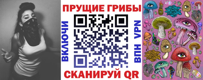 kraken как зайти Владикавказ Галлюциногенные грибы MAGIC MUSHROOMS