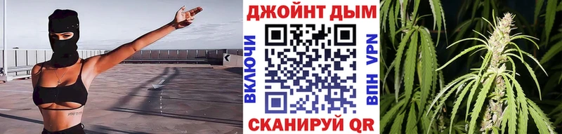 где купить наркоту  Владикавказ  omg зеркало  Марихуана планчик 